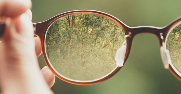 Glasses lense perspective showing trees