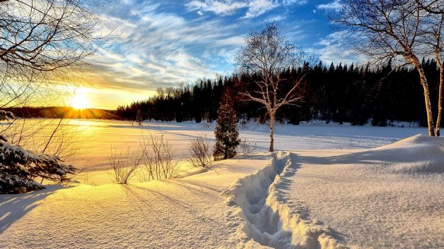 https://www.bardoptical.com/wp-content/uploads/2020/01/shades-on-winter-628x353.jpg