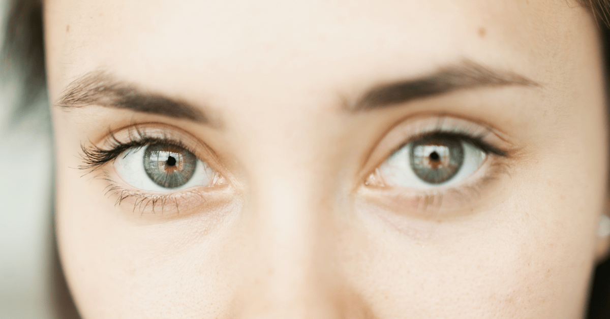 Download How Do Cones And Rods Work Eye Anatomy 101 Bard Optical