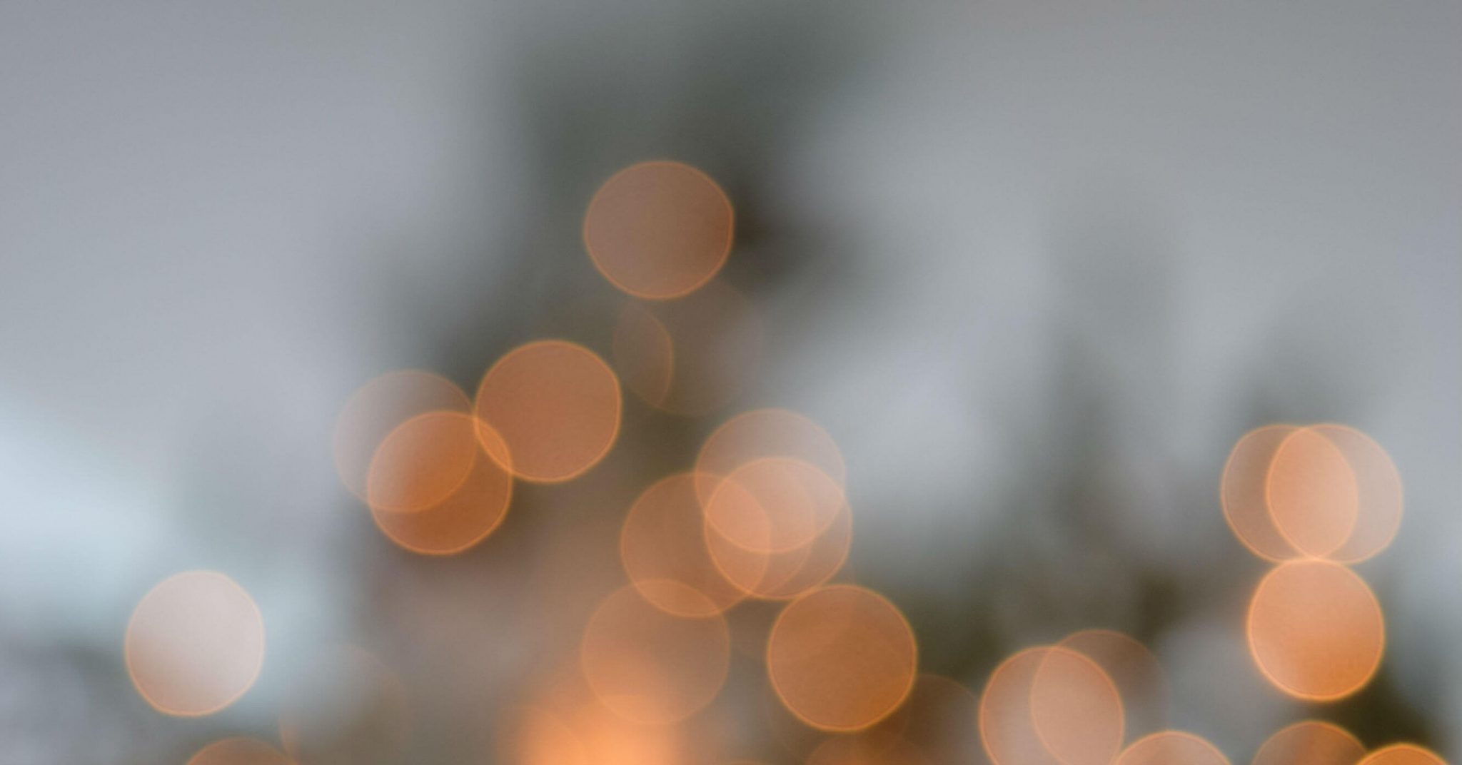 6 Things You Need to Know About Low Vision Bard Optical