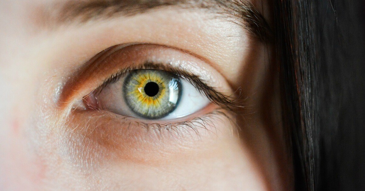 Close up of green and gold eye