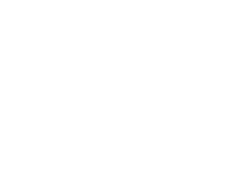 Adrienne Vittadini logo