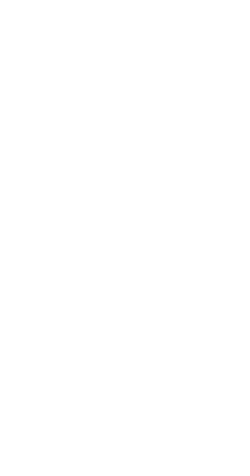 Polo logo